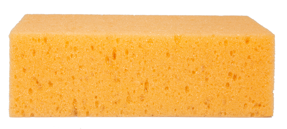 Sponge